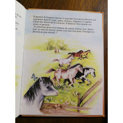Le Vilain Petit Lièvre