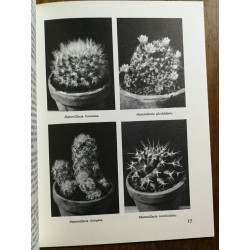Collection mes amies les fleurs Mes cactus