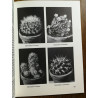 Collection mes amies les fleurs Mes cactus