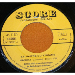 Le Maitre Du Tzigane