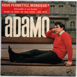 Vous Permettez Monsieur
