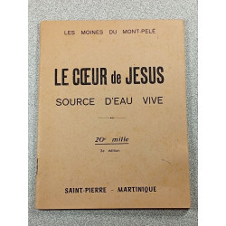 Le Cœur de Jésus source d'eau vive