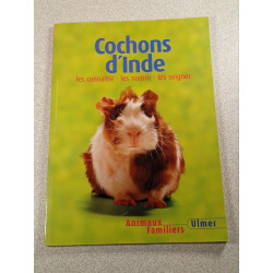 Cochons d'Inde