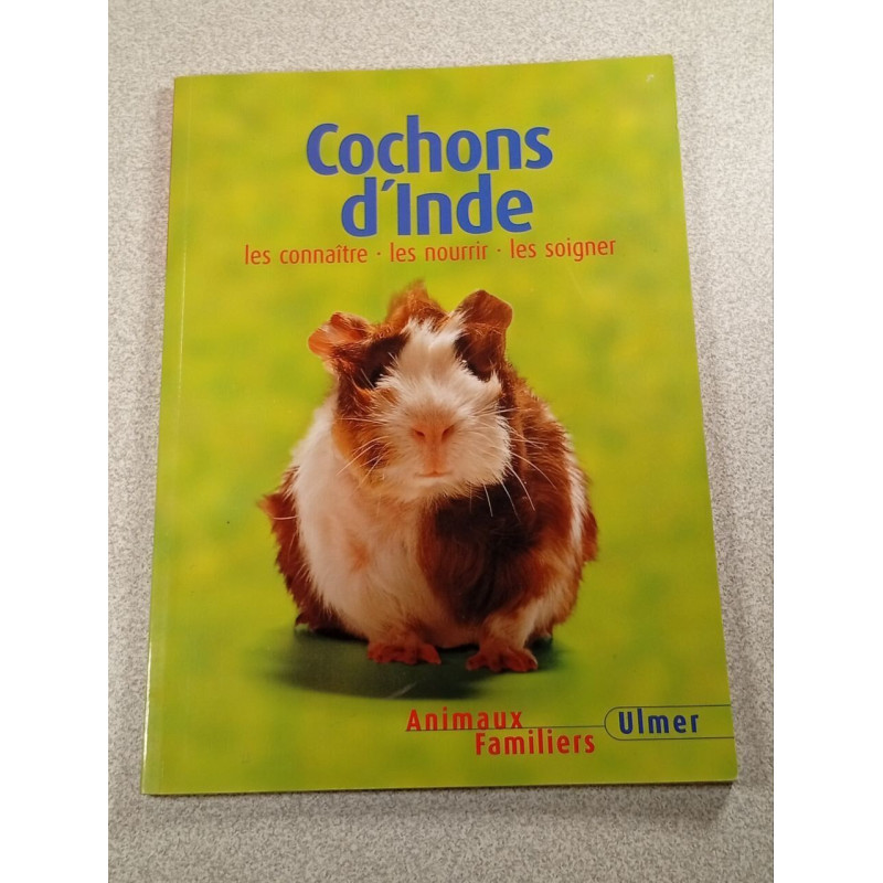 Cochons d'Inde