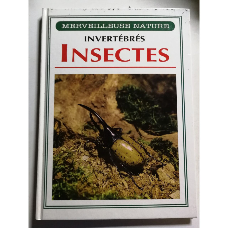 Merveilleuse nature Invertebres Insectes