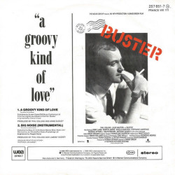 A Groovy Kind Of Love