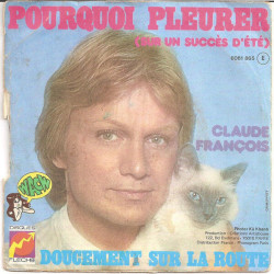 Pourquoi Pleurer (Sur Un Succès D'été)