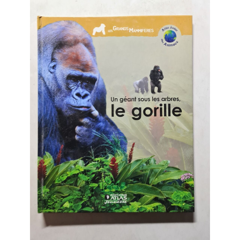 Un géant sous les arbres le gorille
