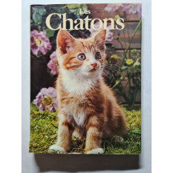 Les Chatons