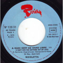 A Quoi Sert De Vivre Libre