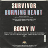 Burning Heart