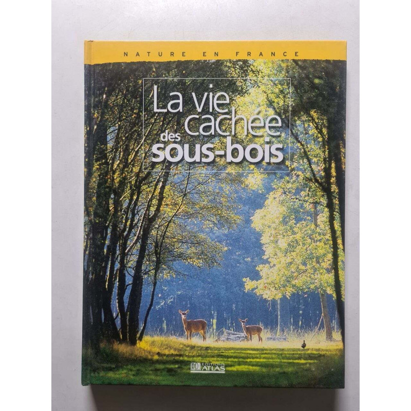 La vie cachée des sous-bois