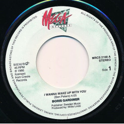 I Wanna Wake Up With You