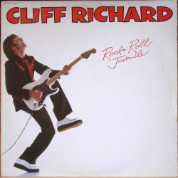Rock'n Roll Juvenile