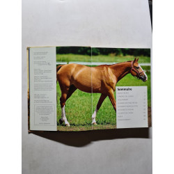 Le guide pratique du cheval
