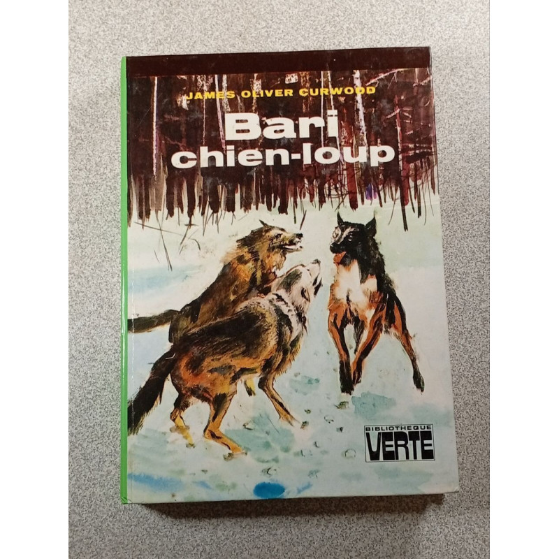Bari chien-loup