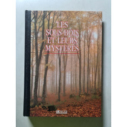 Les sous-bois et leurs mystères