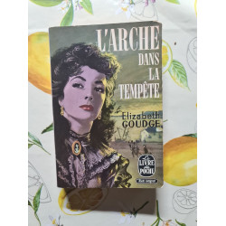 L'Arche dans la tempête