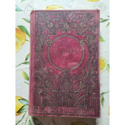 Cinq semaines en aéroplane