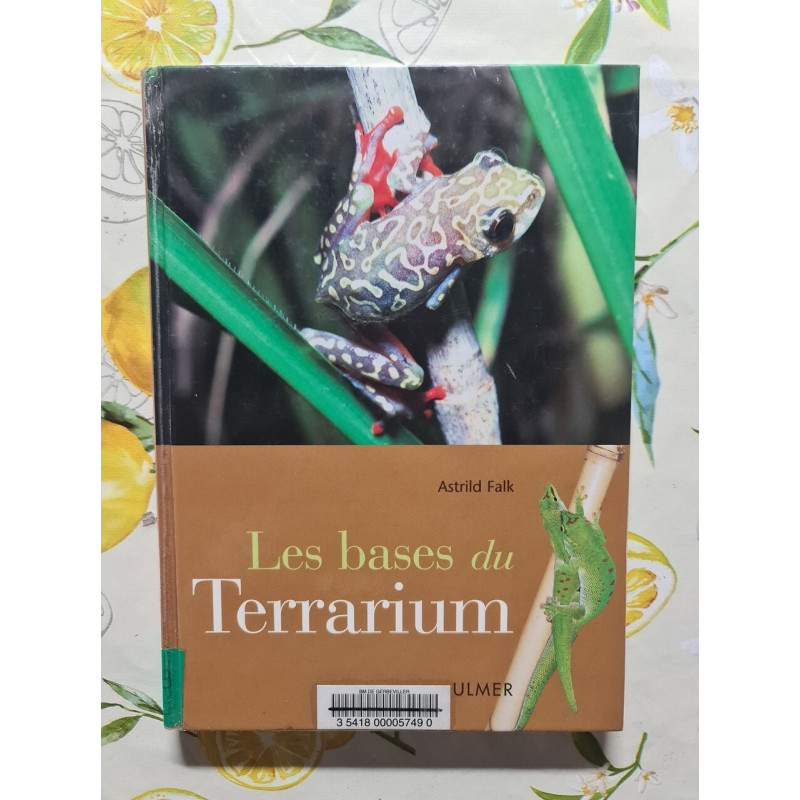 Les bases du Terrarium