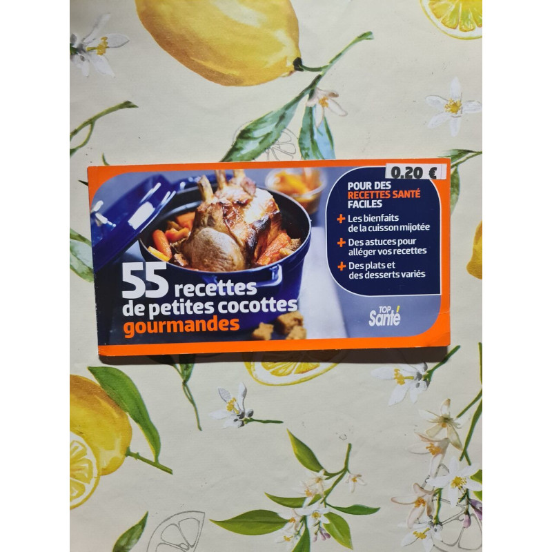 55 recettes de petites cocottes gourmandes