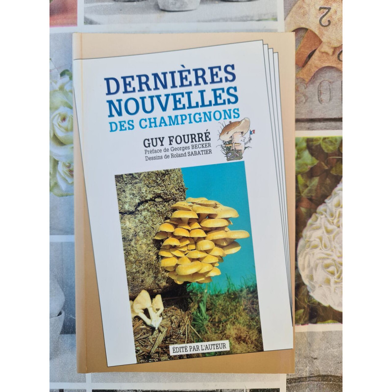 Dernières nouvelles des champignons