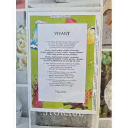 Pâques ! Que jaillisse la vie