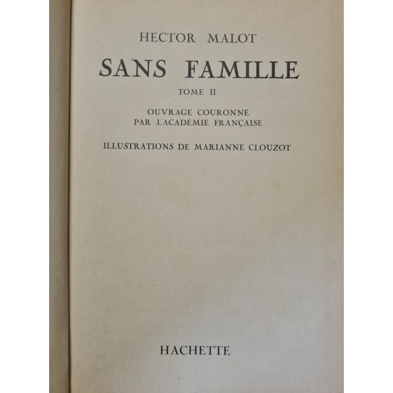 Sans famille tome II