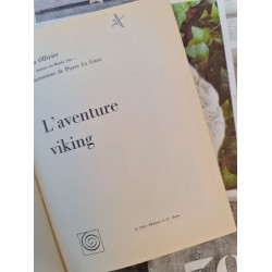 L'aventure Viking