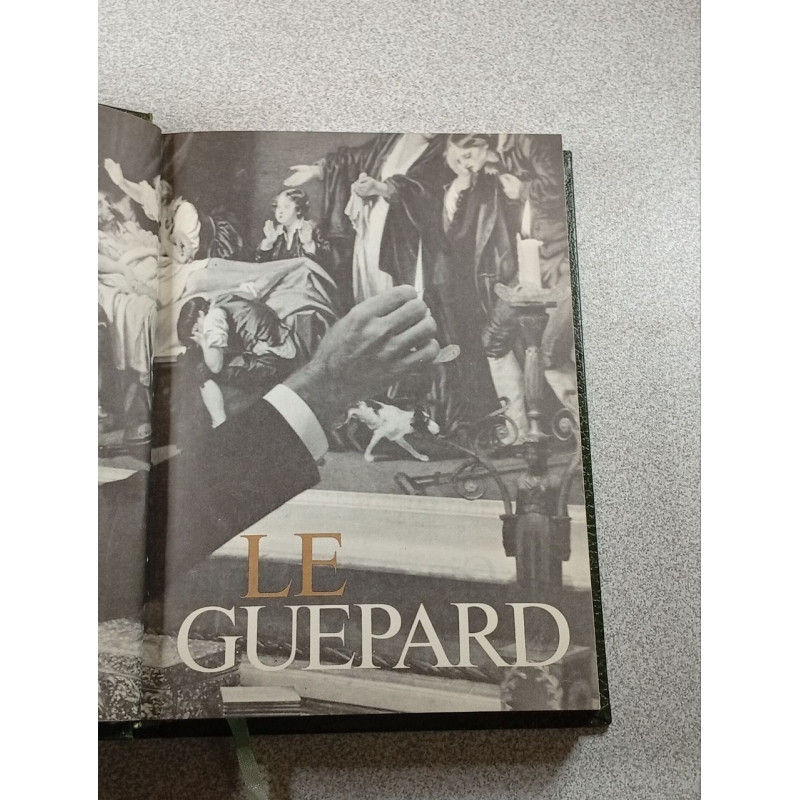 Le Guépard