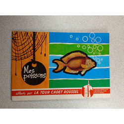 Mes poissons