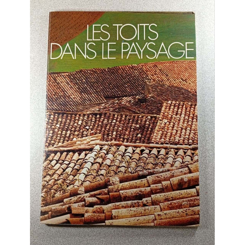 Les toits dans le paysage