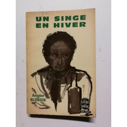 Un singe en hiver