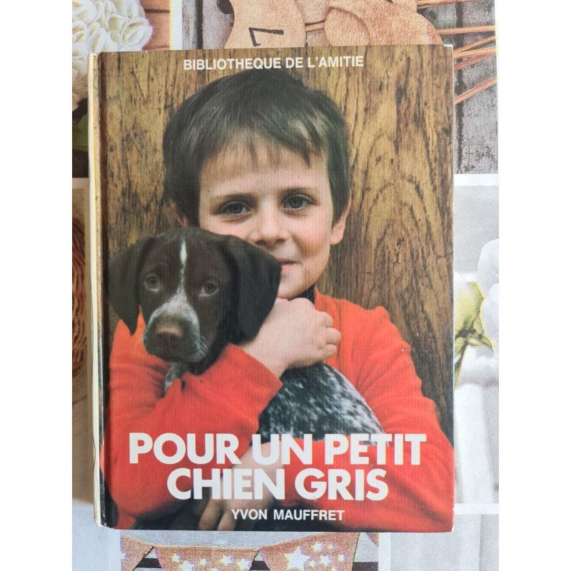 Pour un petit chien gris