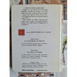 Pour un petit chien gris