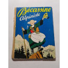 Bécassine Alpiniste