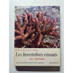 Les invertébrés vivants du monde
