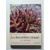 Les invertébrés vivants du monde