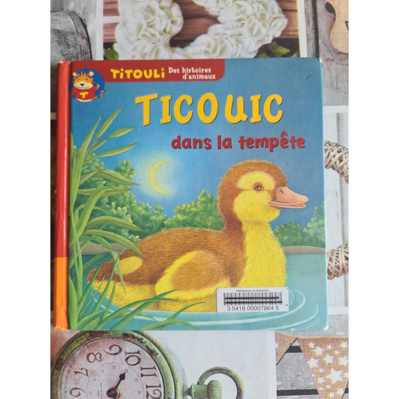 Ticouic dans la tempête