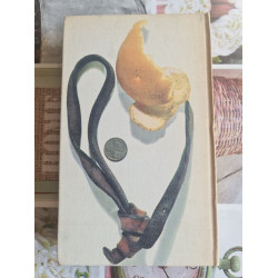 Œuvres complètes nº 15