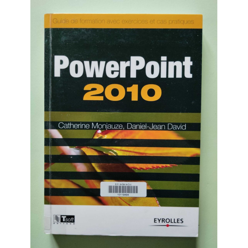 PowerPoint 2010