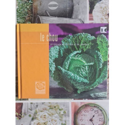 Le chou : un monde de formes et de saveurs