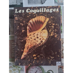 Les Coquillages
