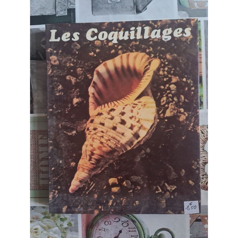 Les Coquillages