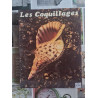 Les Coquillages