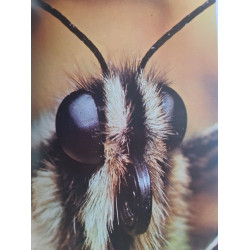 Le Grand Livre de la Vie Animale