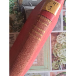 L'Inspecteur des ruines