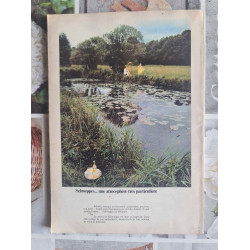 Miroir de l'histoire SPECIAL HITLER 2. Le jugement de Dieu