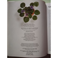 Soignez vos plantes d'appartement