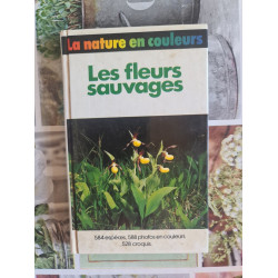La nature en couleurs : Les fleurs sauvages